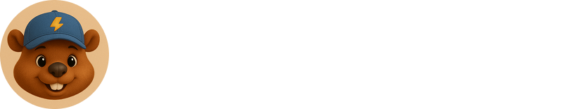 Fast Reno Logo